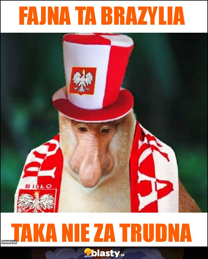 Fajna ta Brazylia Fajna ta Brazylia