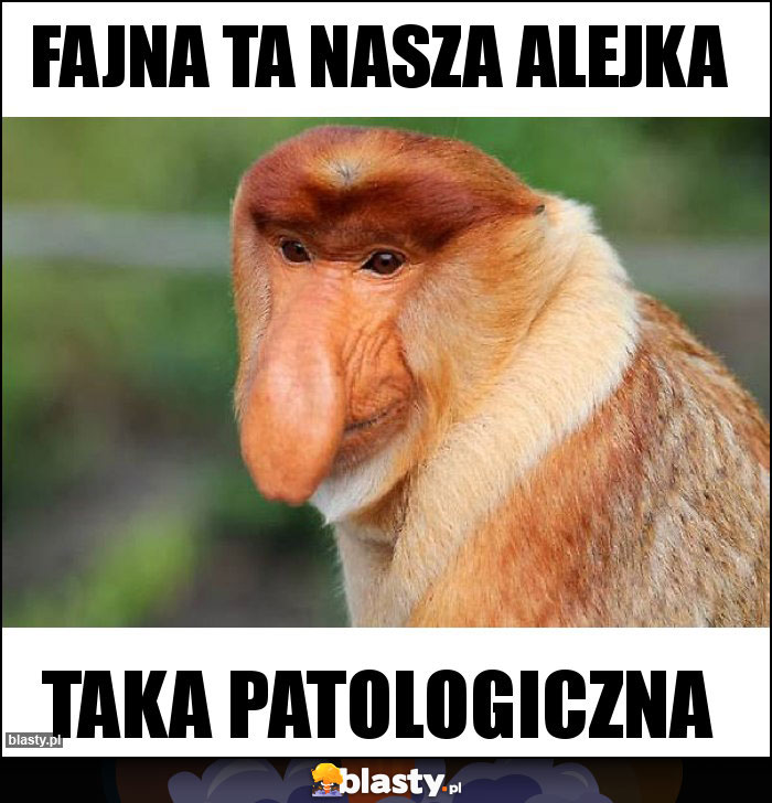 Fajna ta nasza alejka Fajna ta nasza alejka