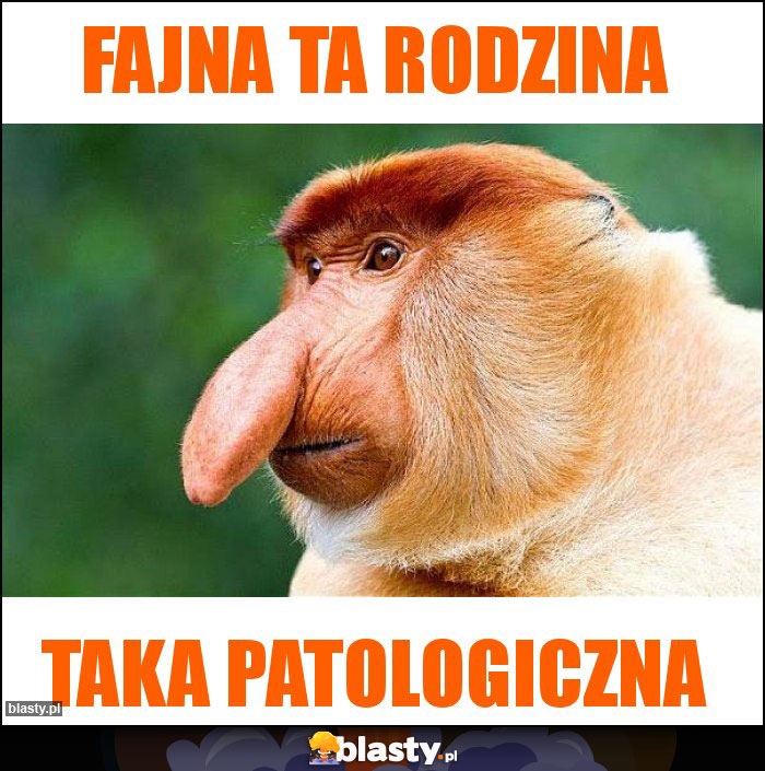 Fajna ta rodzina Fajna ta rodzina