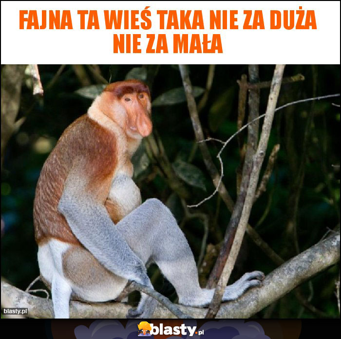 fajna ta wieś taka nie za duża nie za mała fajna ta wieś taka nie za duża nie za mała