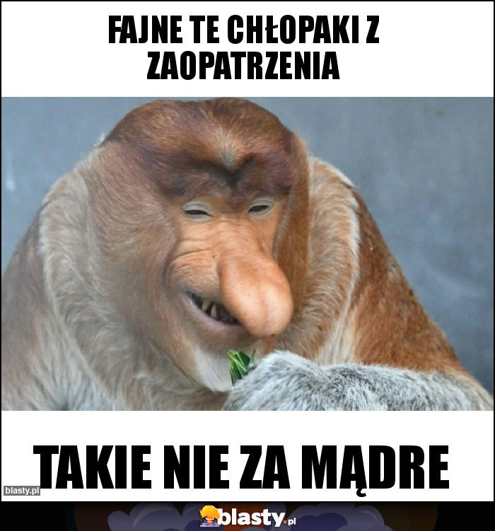 fajne te chłopaki z zaopatrzenia fajne te chłopaki z zaopatrzenia