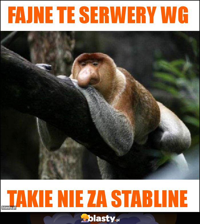 Fajne te serwery WG Fajne te serwery WG