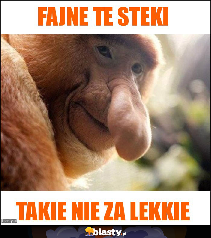 Fajne te steki Fajne te steki
