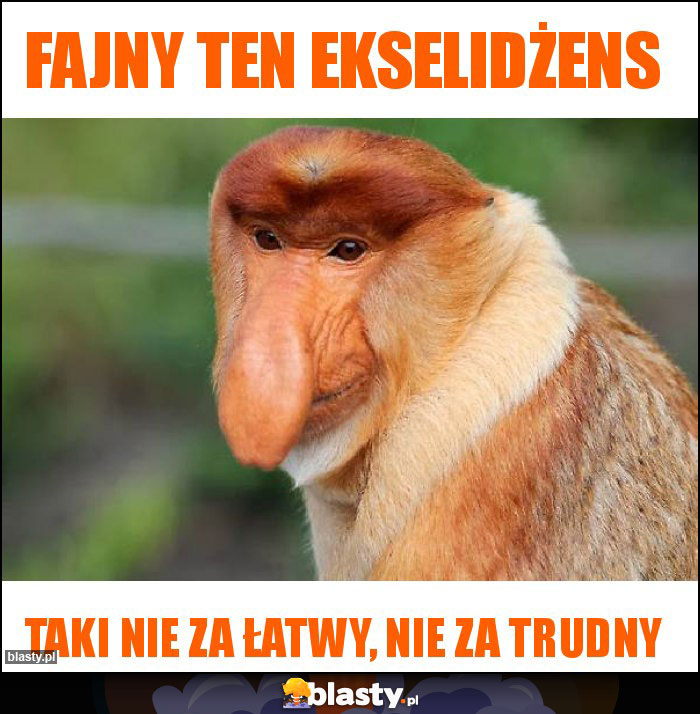 Fajny ten EKSELIDŻENS