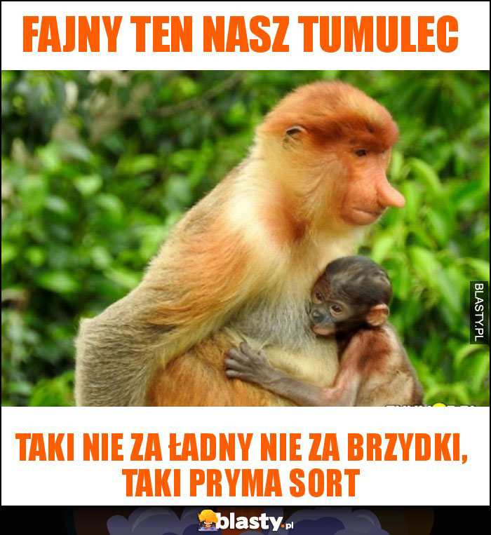 Fajny ten nasz Tumulec Fajny ten nasz Tumulec