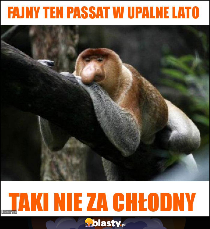 Fajny ten passat w upalne lato