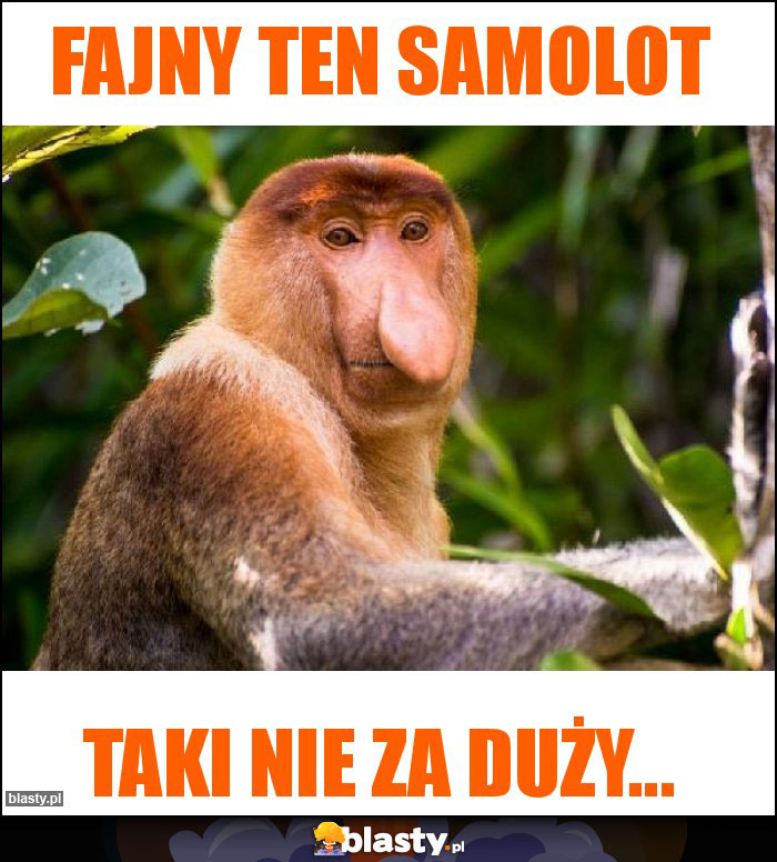 Fajny ten samolot Fajny ten samolot
