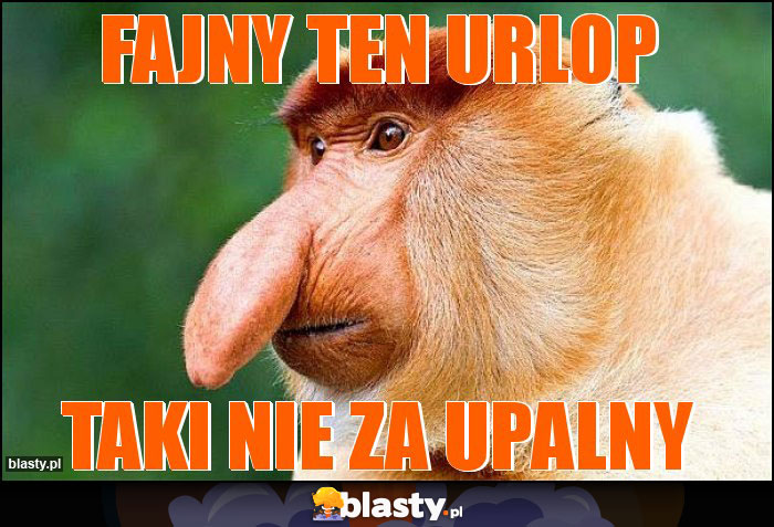 Fajny ten urlop Fajny ten urlop