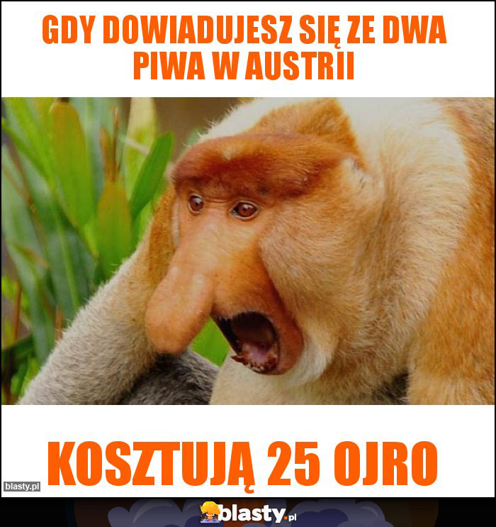 Gdy dowiadujesz się ze dwa piwa w Austrii Gdy dowiadujesz się ze dwa piwa w Austrii