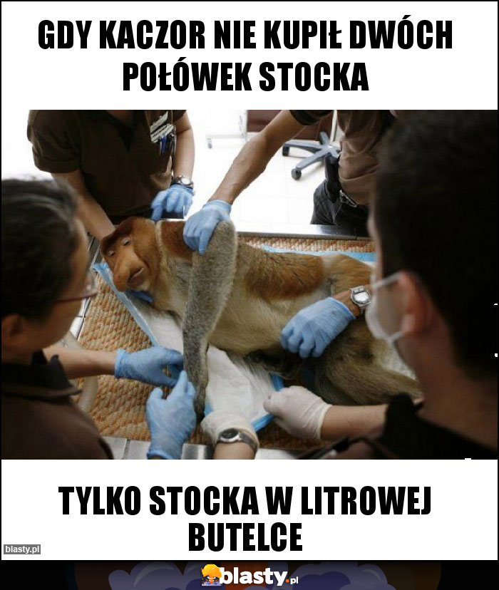 Gdy Kaczor nie kupił dwóch połówek Stocka Gdy Kaczor nie kupił dwóch połówek Stocka