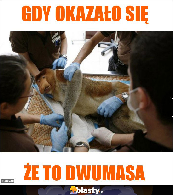 Gdy okazało się Gdy okazało się