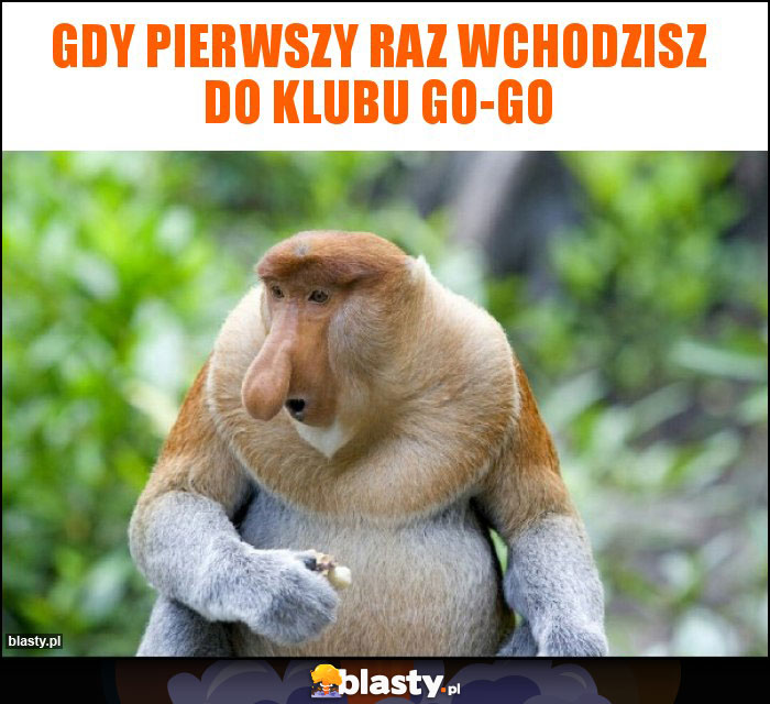 Gdy pierwszy raz wchodzisz do klubu go-go Gdy pierwszy raz wchodzisz do klubu go-go