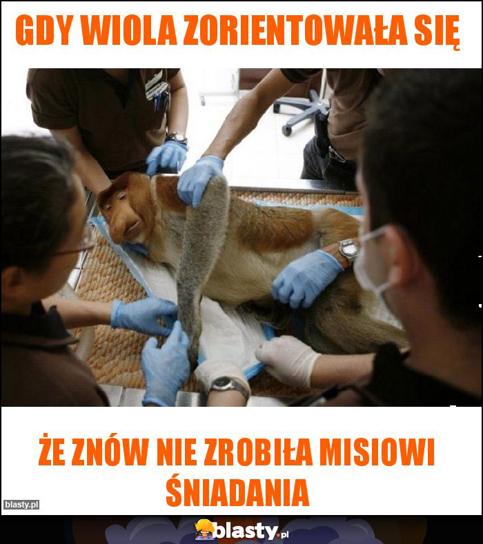 Gdy Wiola zorientowała się Gdy Wiola zorientowała się