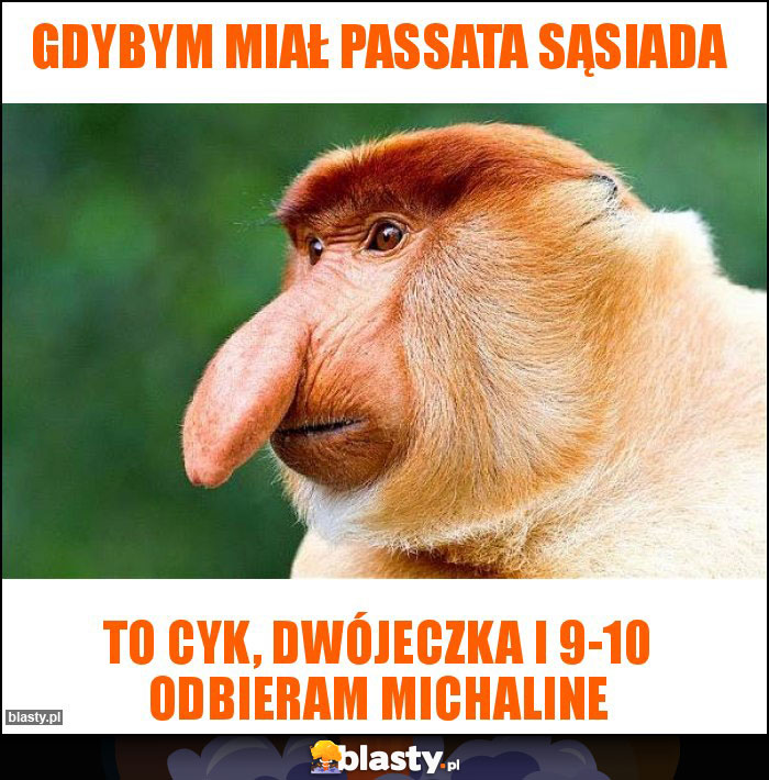 Gdybym miał Passata sąsiada