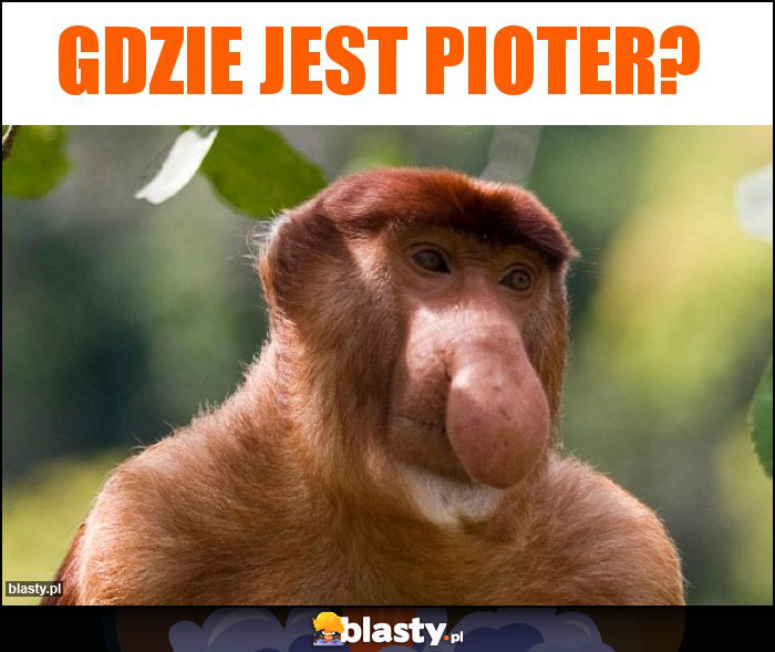 Gdzie jest Pioter? Gdzie jest Pioter?
