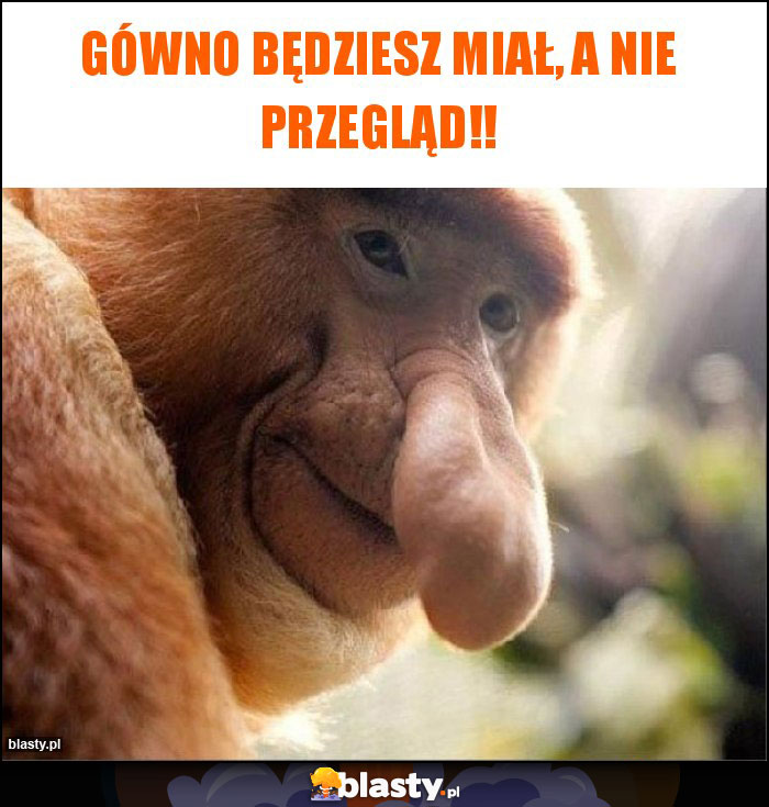 Gówno będziesz miał, a nie przegląd!! Gówno będziesz miał, a nie przegląd!!