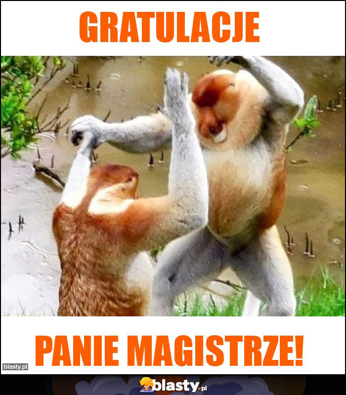 GRATULACJE GRATULACJE