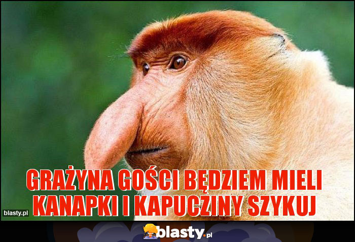 GRAŻYNA GOŚCI BĘDZIEM MIELI KANAPKI I KAPUCZINY SZYKUJ