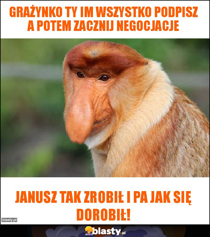 Grażynko ty im wszystko podpisz a potem zacznij negocjacje Grażynko ty im wszystko podpisz a potem zacznij negocjacje