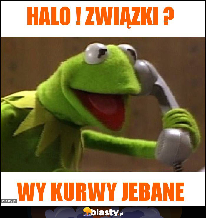 halo ! związki ? halo ! związki ?