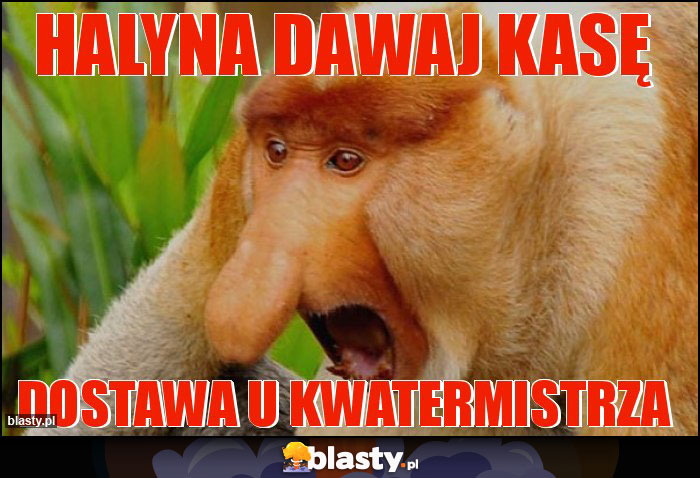 HALYNA DAWAJ KASĘ HALYNA DAWAJ KASĘ