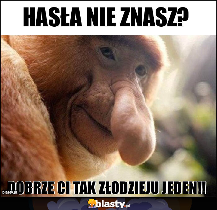 Hasła nie znasz? Hasła nie znasz?