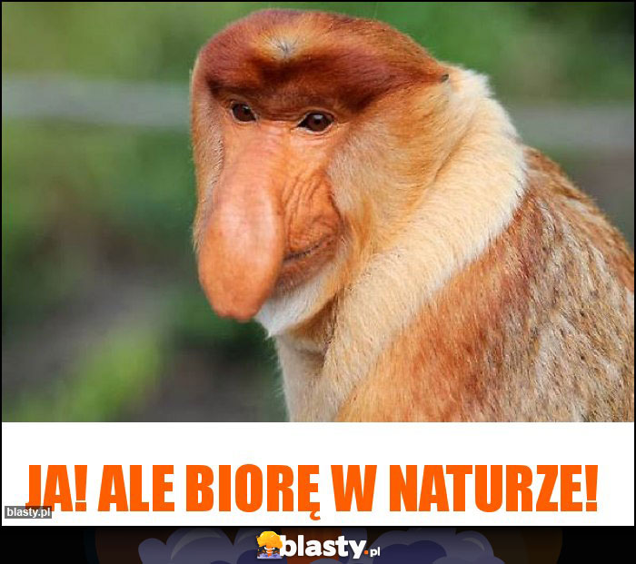 Ja! Ale biorę w naturze!