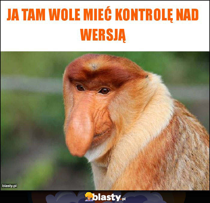Ja tam wole mieć kontrolę nad wersją