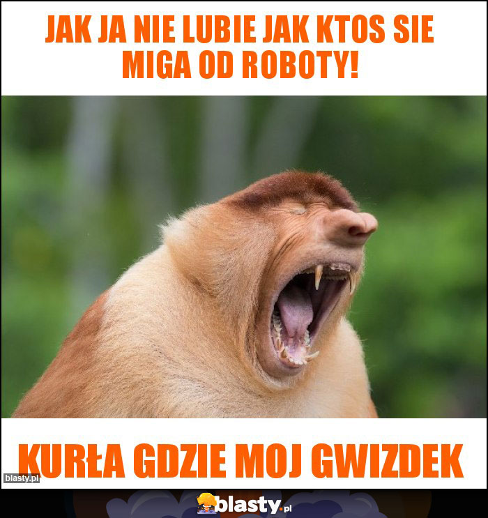 jak ja nie lubie jak ktos sie miga od roboty! jak ja nie lubie jak ktos sie miga od roboty!