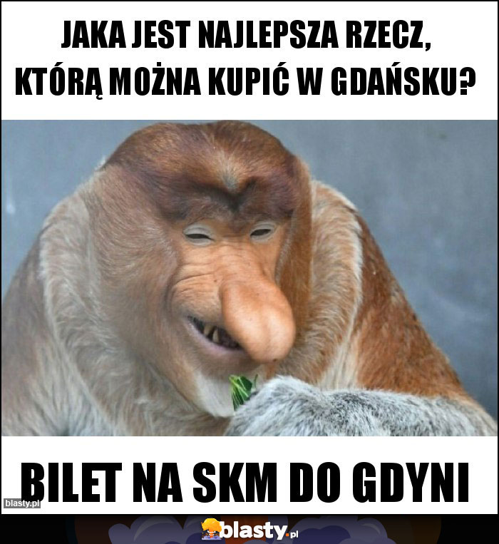 Jaka jest najlepsza rzecz, którą można kupić w Gdańsku? Jaka jest najlepsza rzecz, którą można kupić w Gdańsku?
