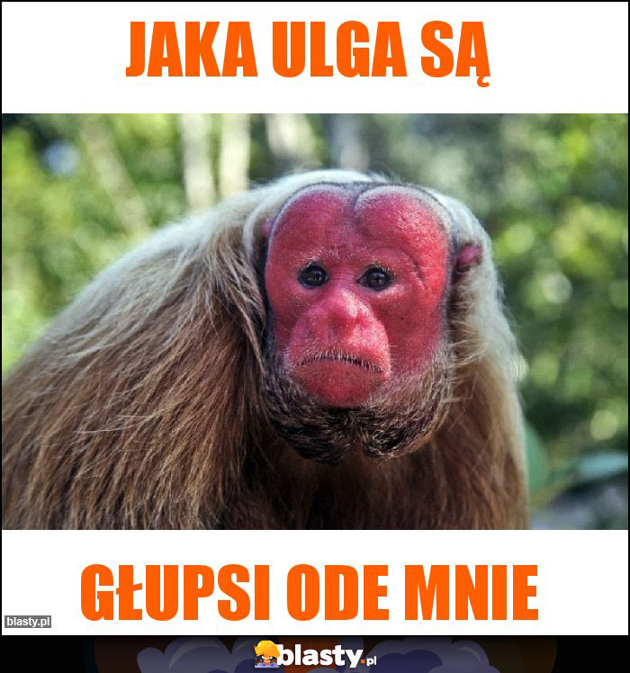 jaka ulga są jaka ulga są