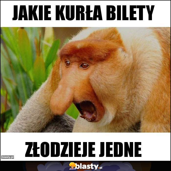 Jakie kurła bilety Jakie kurła bilety