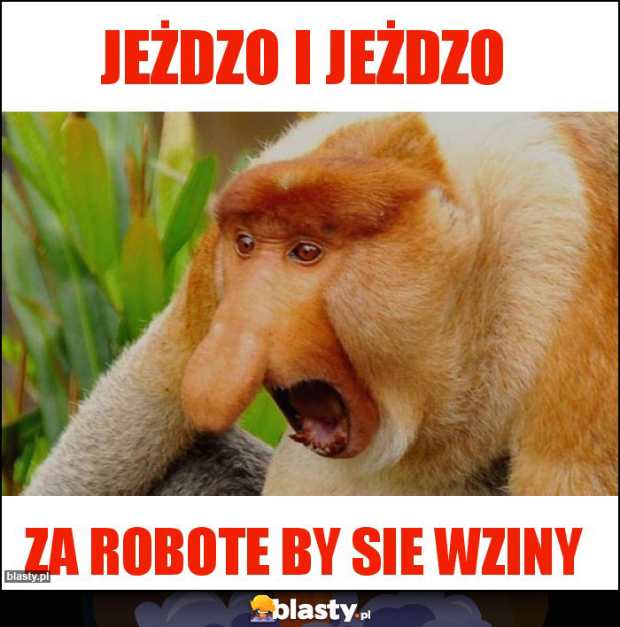 jeżdzo i jeżdzo jeżdzo i jeżdzo