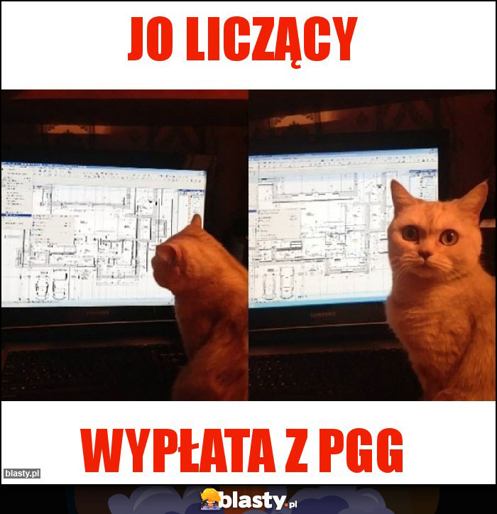 jo liczący jo liczący
