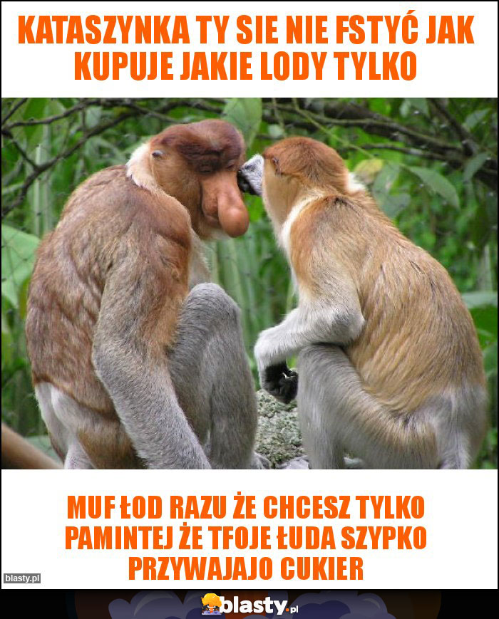 KATASZYNKA TY SIE NIE FSTYĆ JAK KUPUJE JAKIE LODY TYLKO KATASZYNKA TY SIE NIE FSTYĆ JAK KUPUJE JAKIE LODY TYLKO