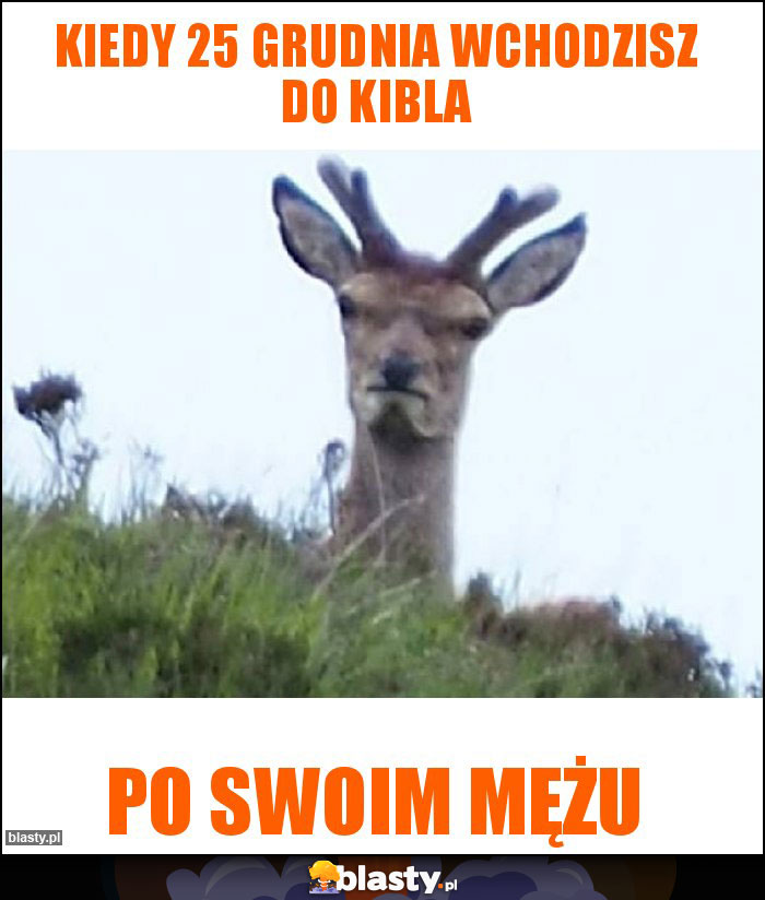 Kiedy 25 grudnia wchodzisz do kibla Kiedy 25 grudnia wchodzisz do kibla