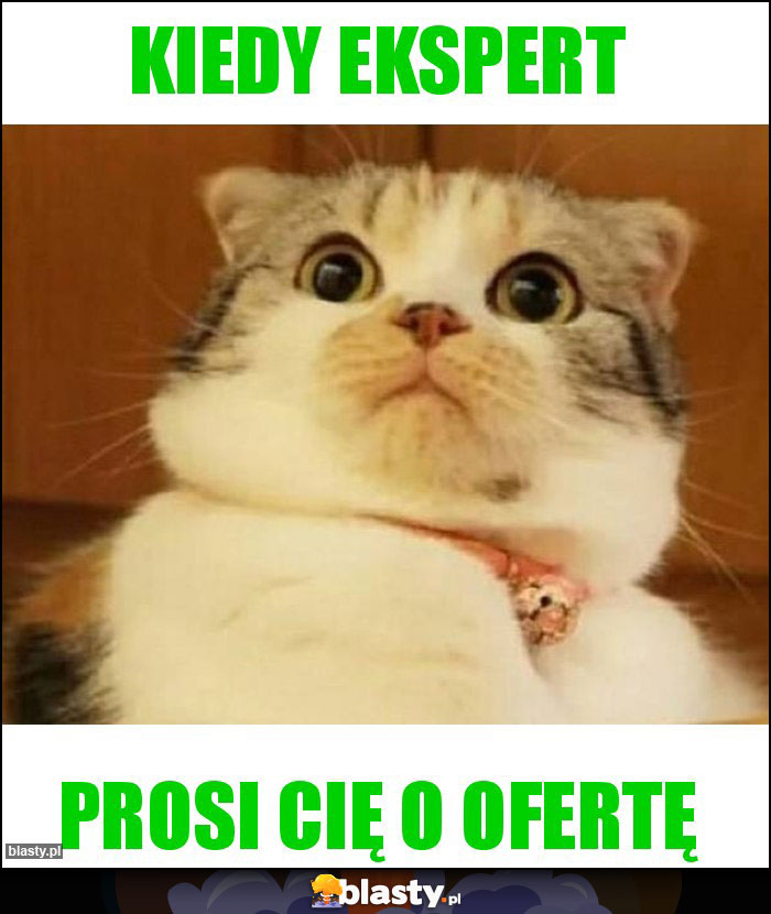Kiedy EKSPERT Kiedy EKSPERT