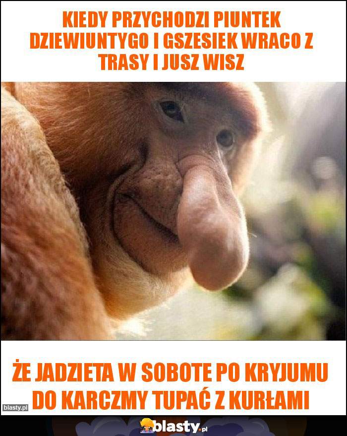 kiedy przychodzi piuntek dziewiuntygo i gszesiek wraco z trasy i jusz wisz kiedy przychodzi piuntek dziewiuntygo i gszesiek wraco z trasy i jusz wisz