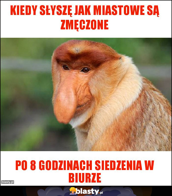 Kiedy słyszę jak miastowe są zmęczone Kiedy słyszę jak miastowe są zmęczone