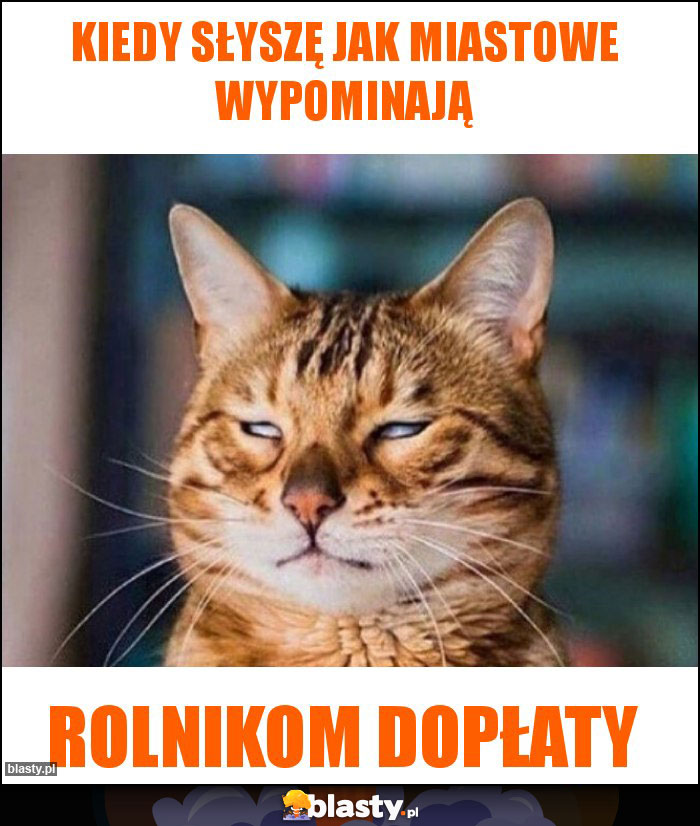 Kiedy słyszę jak miastowe wypominają Kiedy słyszę jak miastowe wypominają