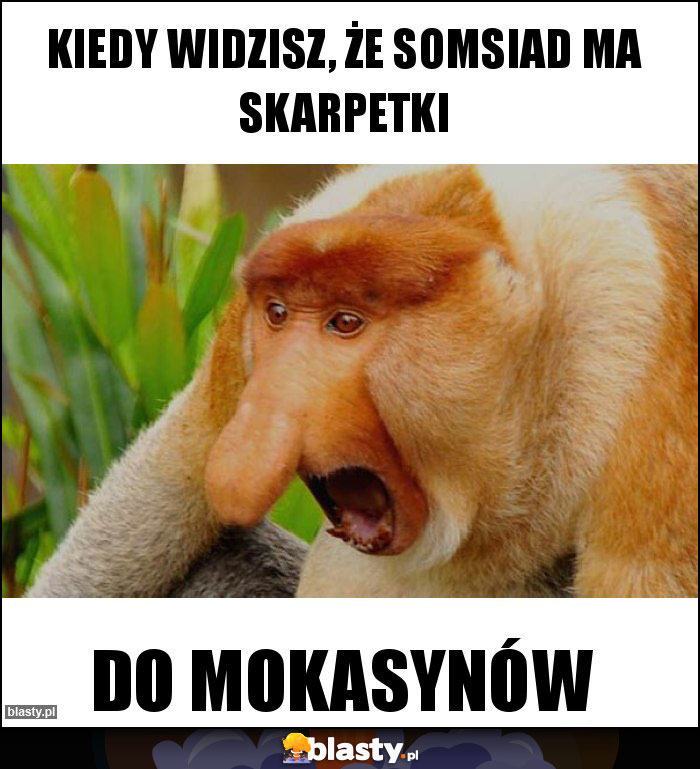 Kiedy widzisz, że somsiad ma skarpetki Kiedy widzisz, że somsiad ma skarpetki