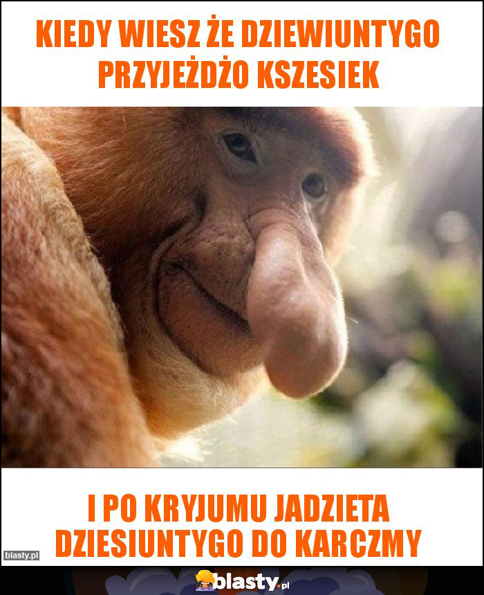 Kiedy wiesz że dziewiuntygo przyjeżdżo kszesiek Kiedy wiesz że dziewiuntygo przyjeżdżo kszesiek