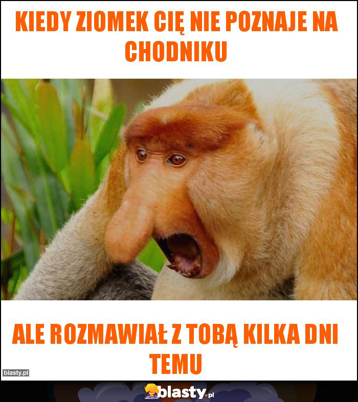 kiedy ziomek cię nie poznaje na chodniku kiedy ziomek cię nie poznaje na chodniku