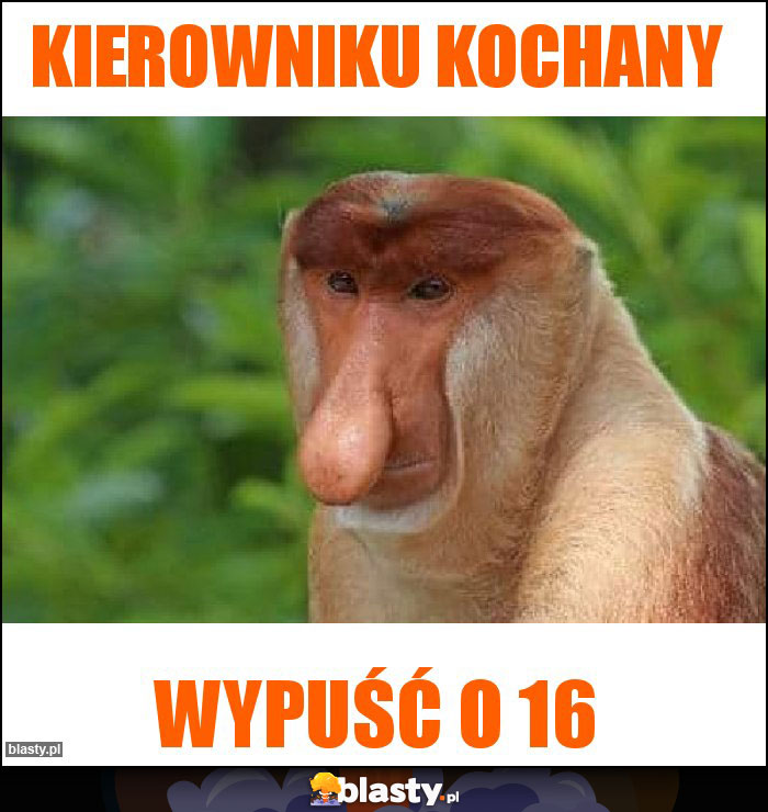 KIEROWNIKU KOCHANY KIEROWNIKU KOCHANY