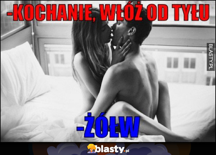 Kochanie włóż od tyłu żółw