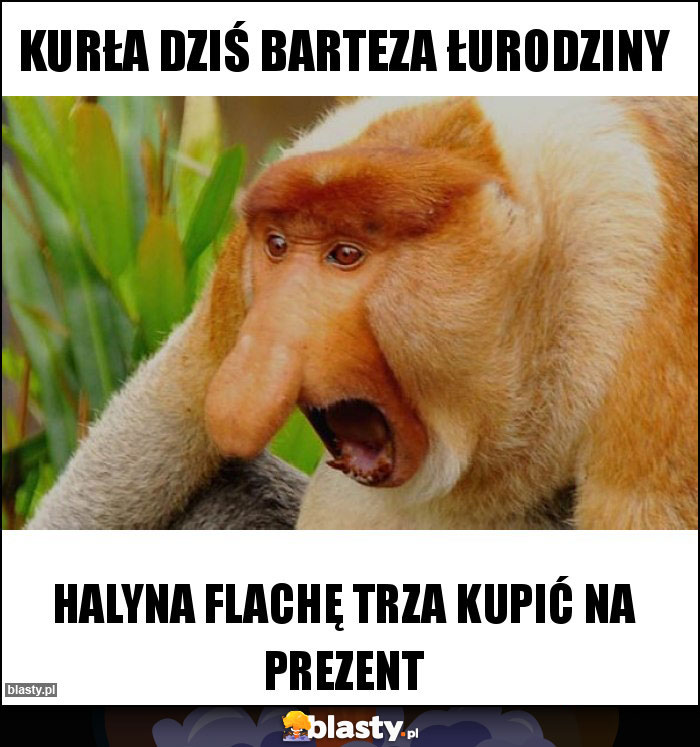 Kurła dziś Barteza łurodziny Kurła dziś Barteza łurodziny