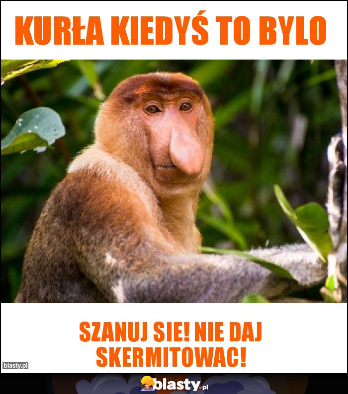 Kurła kiedyś to bylo Kurła kiedyś to bylo