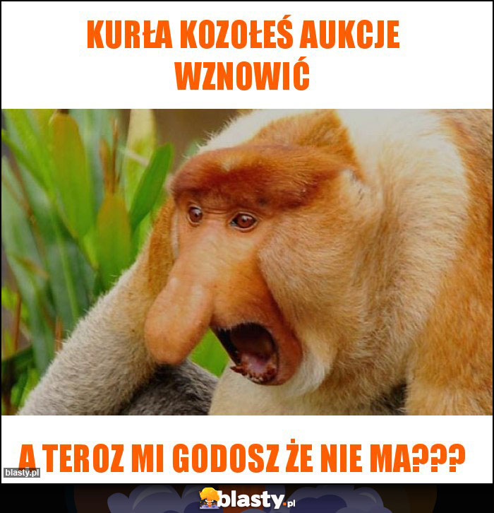 KURŁA KOZOŁEŚ AUKCJE WZNOWIĆ KURŁA KOZOŁEŚ AUKCJE WZNOWIĆ