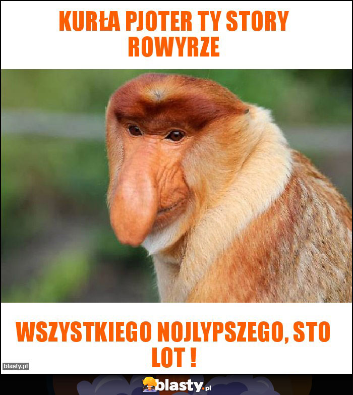 Kurła pjoter Ty story rowyrze