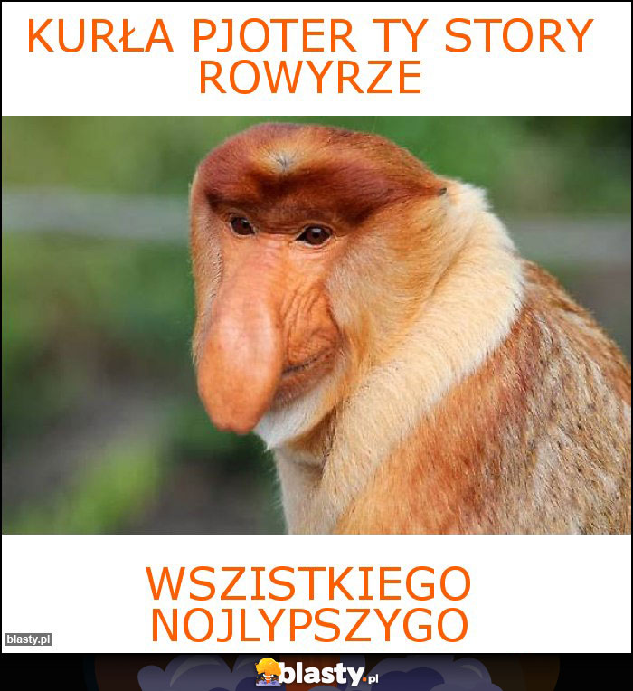 Kurła pjoter Ty story rowyrze